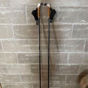 Swix Ski Poles